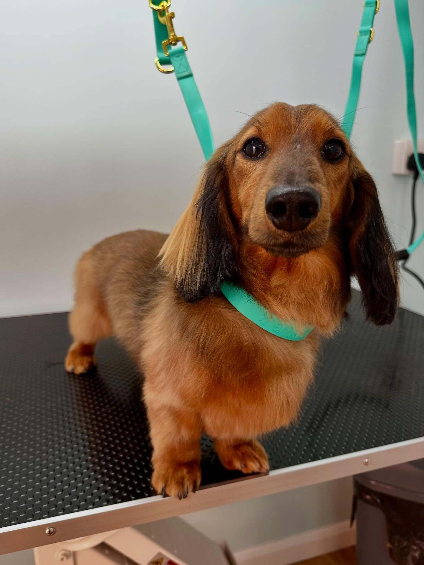 649645597_18003453839893991_1814008193392364342_n 649645597_18003453839893991_1814008193392364342_n