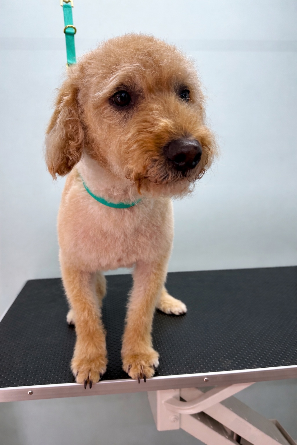 020304BF-79D8-4611-9CF8-812E94B5449B 020304BF-79D8-4611-9CF8-812E94B5449B