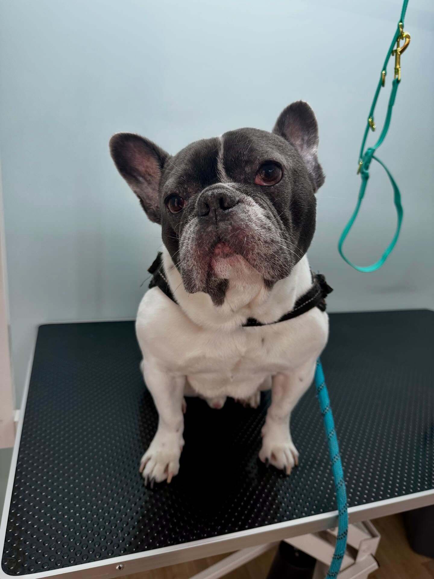 651922046_18004120103893991_4219554360088892060_n 651922046_18004120103893991_4219554360088892060_n