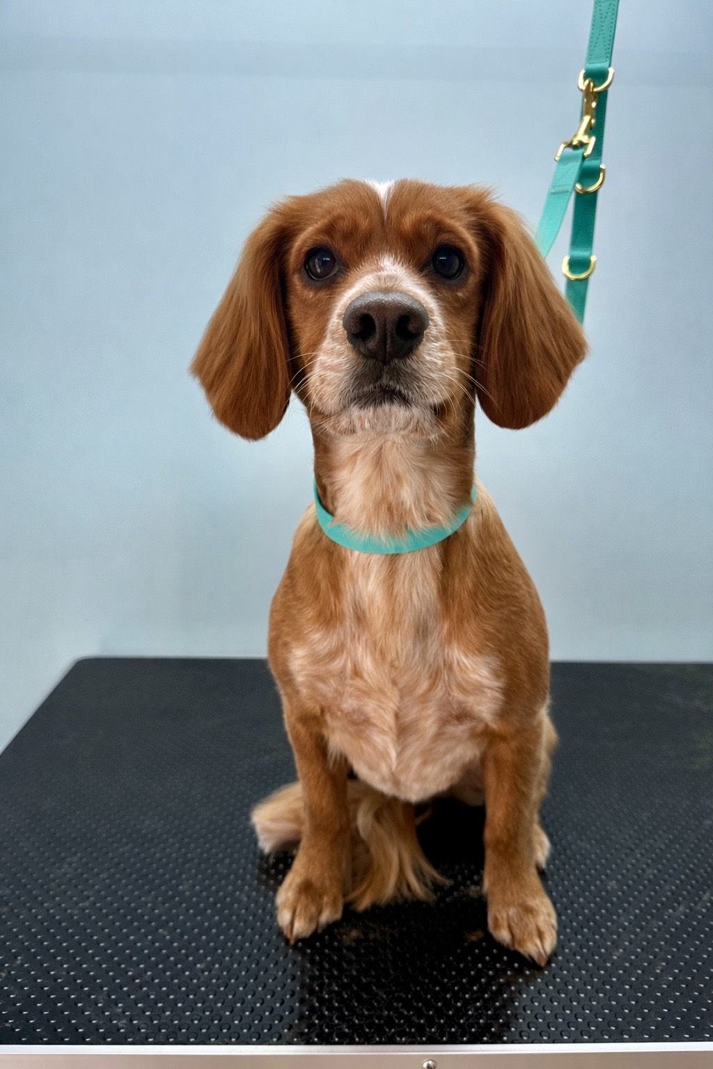 A01DA08E-2FDC-4CD6-B0F3-4918441524C9 A01DA08E-2FDC-4CD6-B0F3-4918441524C9