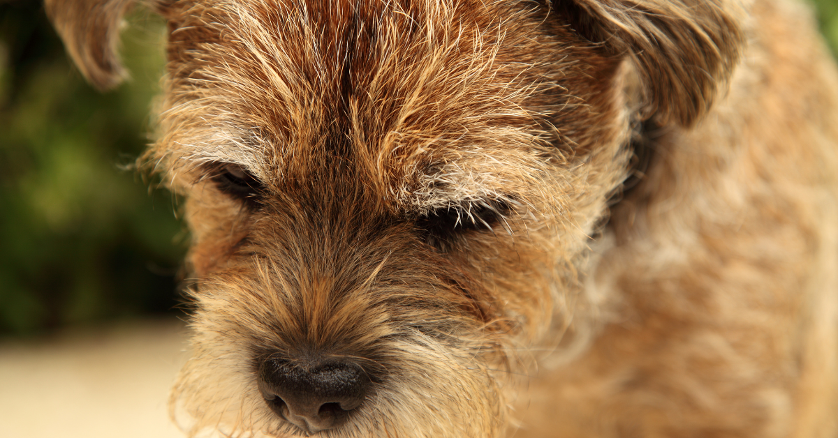 Untitled design Untitled design